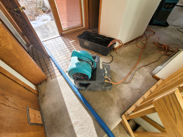 Best Flood damage cleanup  in Berkeley Lake, GA