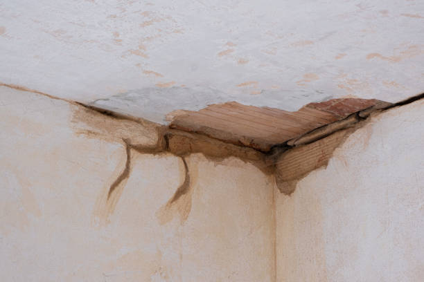 Best Basement water damage restoration  in Berkeley Lake, GA