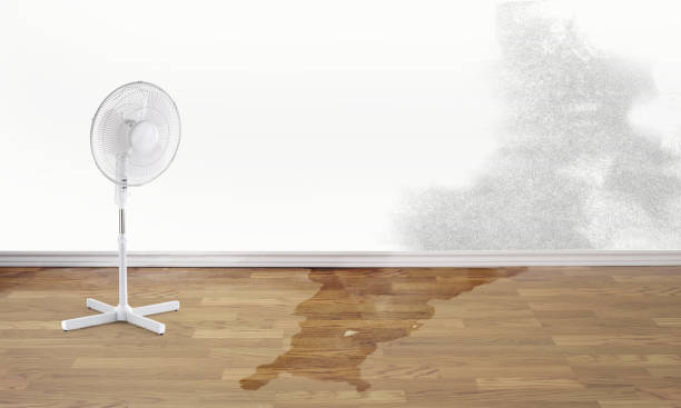 Best Water damage restoration company  in Berkeley Lake, GA