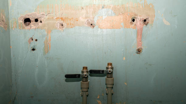 Best Water damage restoration near me  in Berkeley Lake, GA