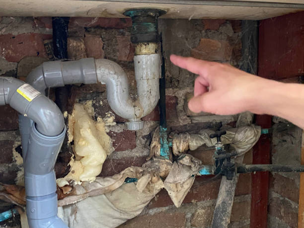 Best Flooded house restoration  in Berkeley Lake, GA