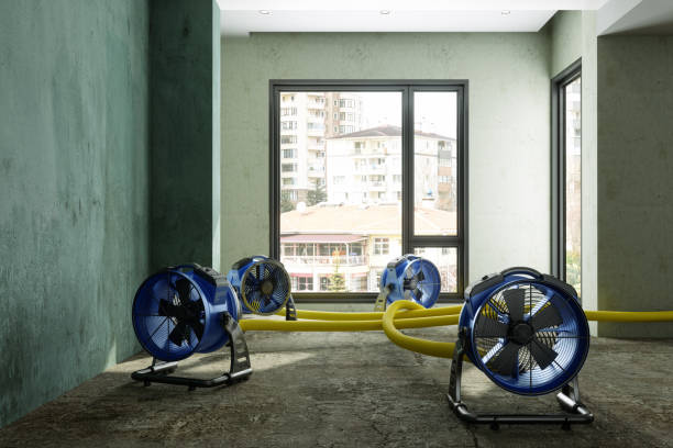 Best Mold removal after water damage  in Berkeley Lake, GA