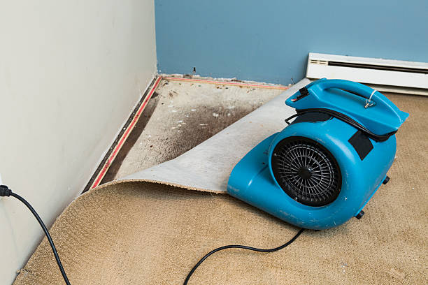 Best Water damage cleanup near me  in Berkeley Lake, GA